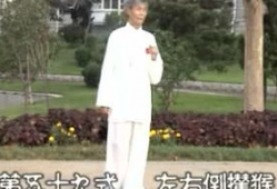 杨式85式太极拳视频,传承经典，动静结合的养生之道