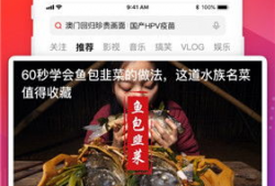 合欢视频,探索视觉艺术与情感共鸣的奇妙旅程