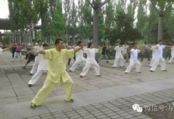 初学太极拳入门基本功视频教程,基本功视频教程精华概览